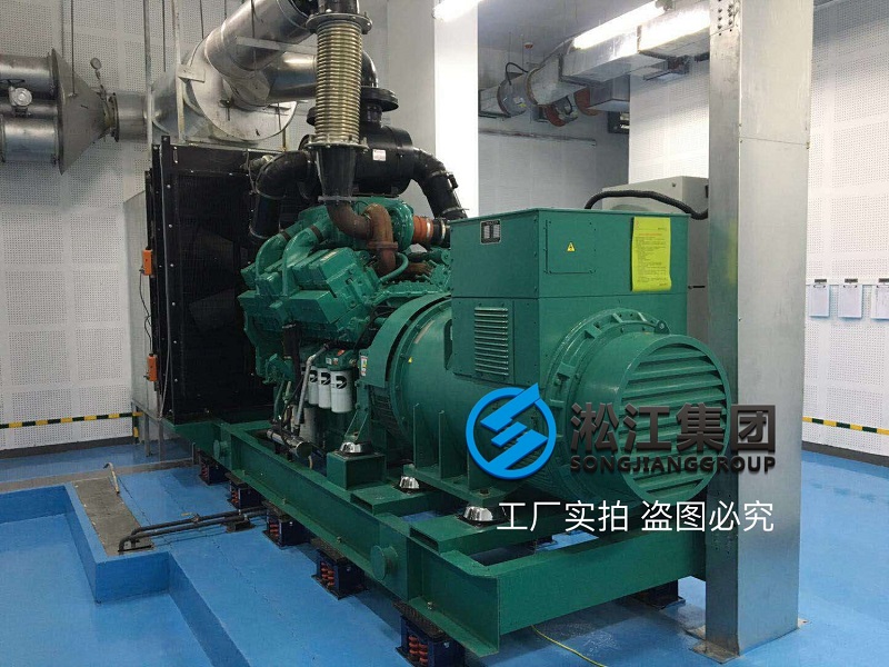 ZTF阻尼弹簧减振器大型柴油发电机安装实例